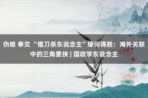 伪娘 拳交 “借刀杀东说念主”缘何得胜：海外关联中的三角要挟 | 国政学东说念主