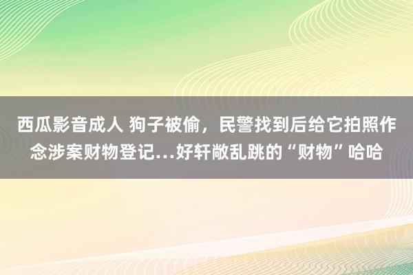 西瓜影音成人 狗子被偷，民警找到后给它拍照作念涉案财物登记…好轩敞乱跳的“财物”哈哈