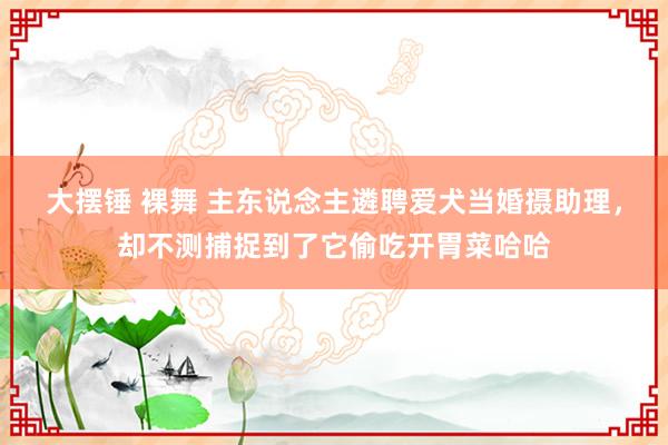 大摆锤 裸舞 主东说念主遴聘爱犬当婚摄助理，却不测捕捉到了它偷吃开胃菜哈哈