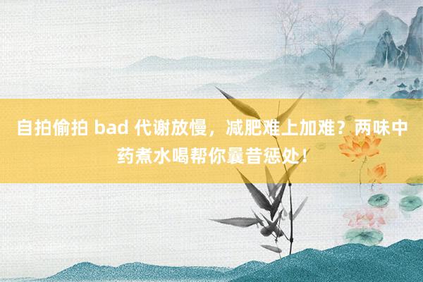 自拍偷拍 bad 代谢放慢，减肥难上加难？两味中药煮水喝帮你曩昔惩处！