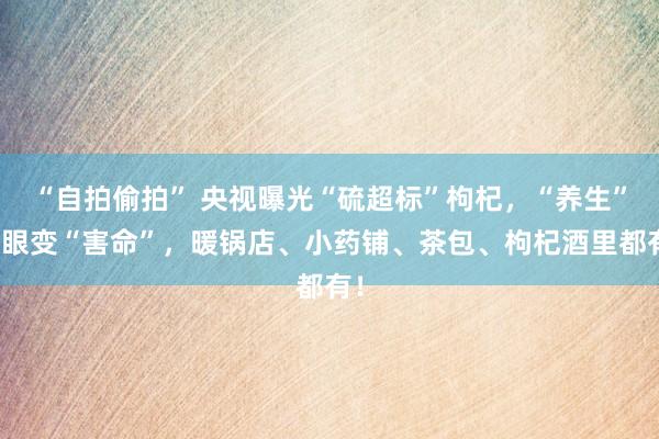 “自拍偷拍” 央视曝光“硫超标”枸杞，“养生”转眼变“害命”，暖锅店、小药铺、茶包、枸杞酒里都有！