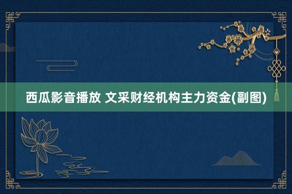 西瓜影音播放 文采财经机构主力资金(副图)