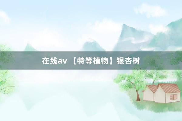 在线av 【特等植物】银杏树