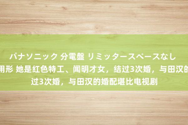 パナソニック 分電盤 リミッタースペースなし 露出・半埋込両用形 她是红色特工、闻明才女，结过3次婚，与田汉的婚配堪比电视剧